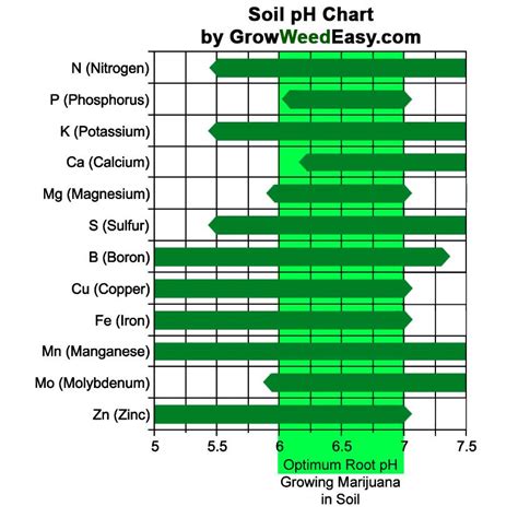 soil moisture level for marijuana